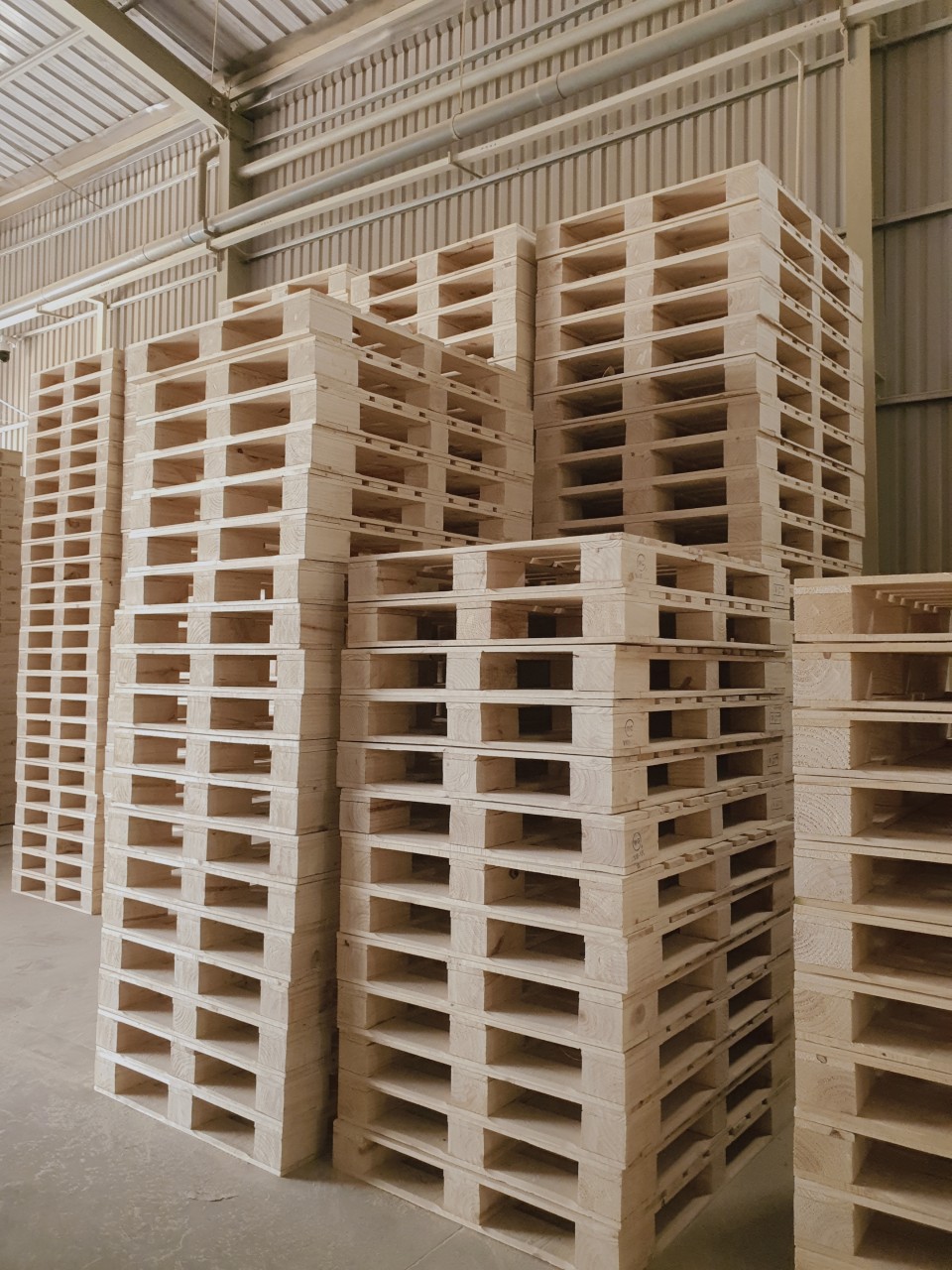 z1863987510719_c53ef7dae282c03f8ba247a960665ff3